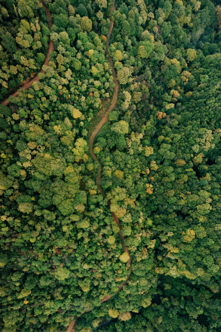 From Total’s verdict to UK deforestation, California delay, and freshwater targets 